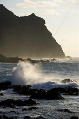 Rock coast in the north of the island of Tenerife Canary Islands