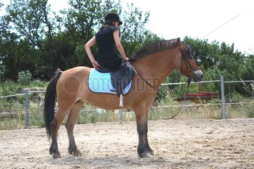 Young rider performing a relaxation exercise