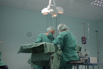 Chirurgie canine réduction d'une fracture France