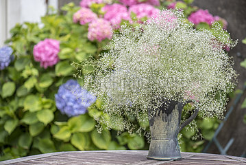 Bouquet of Gypsophila (Gypsophila sp) on a garden table  France