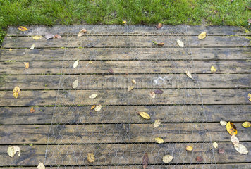 Anti slip fence placed on a driveway in strips of wood  autumn  Somme  France