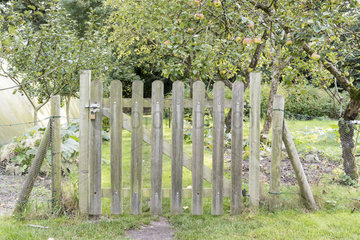Wooden gate giving access to a kitchen garden  autumn  Pas de Calais  France