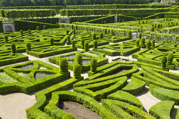 Gardens of Villandry Castle  France