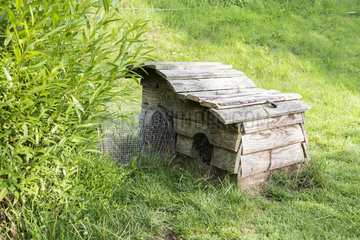 Rabbit hutch in a garden  summer  Moselle  France