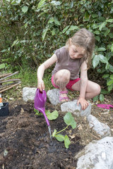 Plantation step by step of squashes by little girls