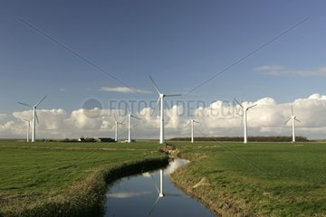 Windmühlen in der Meadow Friesland Niederlande