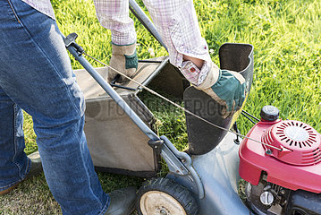 Woman mowing a lawn  summer  Pas de Calais  France