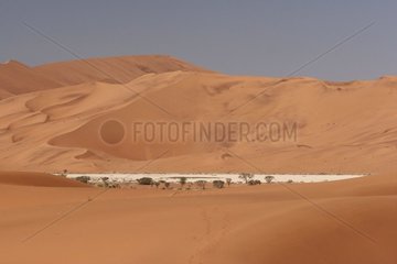 Pan drained in the desert Namib-Naukluft Namibia