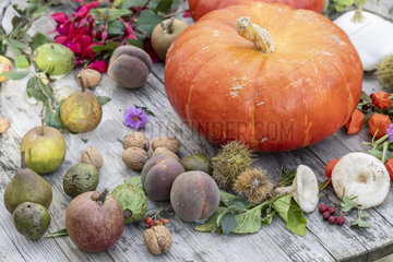 Autumn table in a garden  Pas de Calais  France