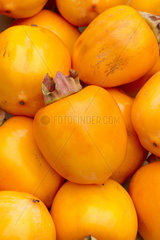 Japanese persimmon (Diospyros kaki) 'Costata'