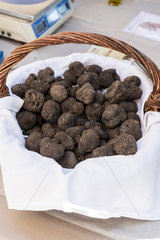 Truffles in a wicker basket at a market  summer  Provence  France