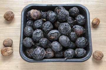Harvest of walnuts affected by walnut blight