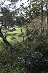 Busch und Garten am Isle Wood Coast-D'armor Frankreich