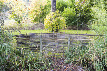 Bamboo palisade in a garden  autumn  Somme  France
