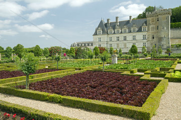The vegetable garden. Chateau de Villandry  France