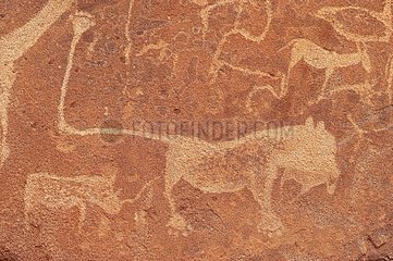 Engravings cave animals Twyfelfontein Namibia