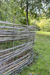 Bamboo palisade in a garden  autumn  Somme  France