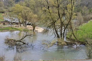 Allan River im Frühjahr