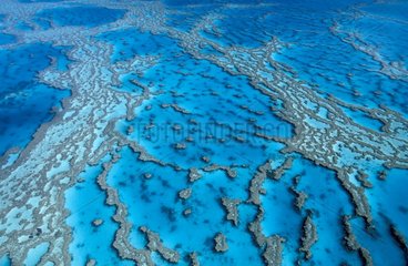 Grande Barrière de corail Australie