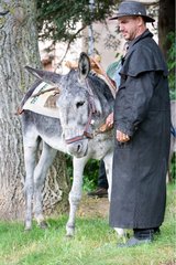 A donkey to work in the saddle Day at Donkey Westhalten