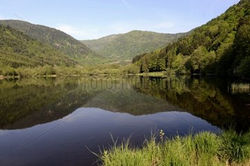 Sewen lake in the valley of the Doller in the Vosges France