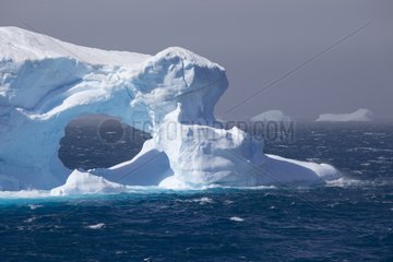Icebergs Antarctic Peninsula