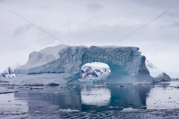 Icebergs Andvord bay Antarctic Peninsula