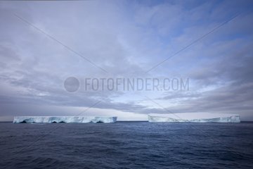 Tabular icebergs Antarctic Peninsula