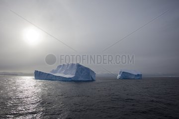 Icebergs Antarctic Peninsula