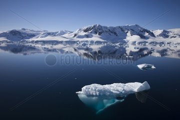 Ice Whilemina Bay Antarctic Peninsula