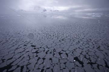 Antarctic Peninsula ice training