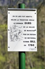 Information panel on the death of the last bear Vosges