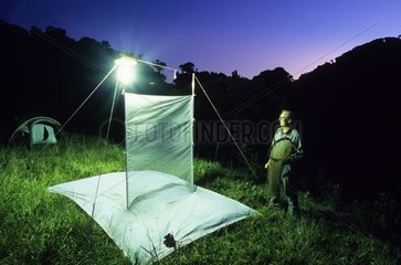 Light trap near Linda Vista Nicaragua