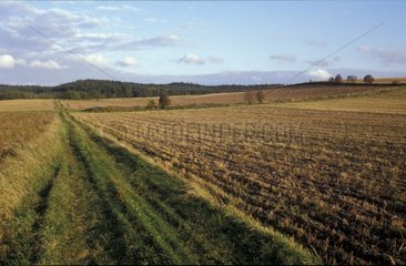 Pflügte Feld im Herbstbereich von Cachoubie Polen