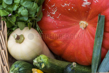Harvest of various vegetables in an organic kitchen garden  summer  France