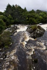 River in the colours of peat Ireland