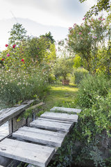 Pontoon leading to a small garden  summer  Provence  France