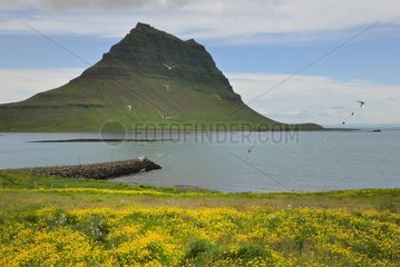 Kirkjufell mountain on the peninsula of Snæfellsnes