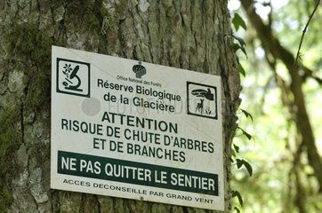 Panel to prevent risk of falling trees France