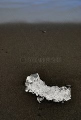 Ice stranded on a beach in Iceland