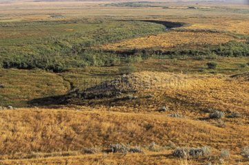 Grasslands National Park Saskatchewan Canada