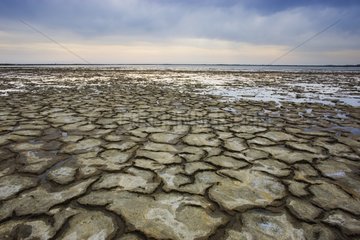 Drought patterns in salt pan near Salin-de-Giraud Camargue