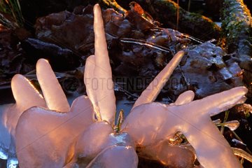 Stalagmites of ice at sunset in winter France