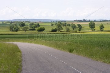 Countryside road in an agricultural landscape Bourgogne