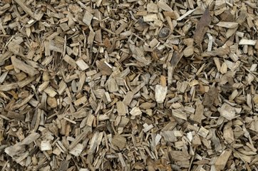 Manufacture of wood chips Faverois France