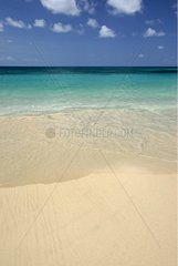 Tropical beach of Grande Anse des Salines Martinique