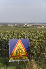 Panel warning against grape harvest of a vineyard France