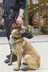 Vigil holding its dog with a leash in a shopping mall France