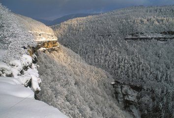 Hedgehog Valley im Winter Jura Frankreich