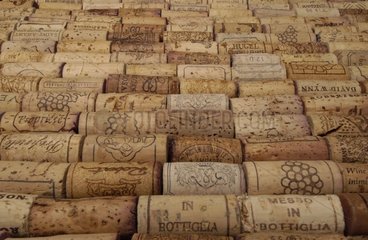 Collection of cork stoppers France